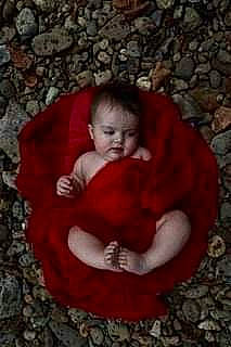 Charlotte Charlie is registered to the contest to win money with this photo: baby, baby_toddler_clothing, carmine, child, circle, cobblestone, comfort, coquelicot, flooring, fun, fur, grass, happy, leaf, people_in_nature, person, rock, sitting, soil, toddler