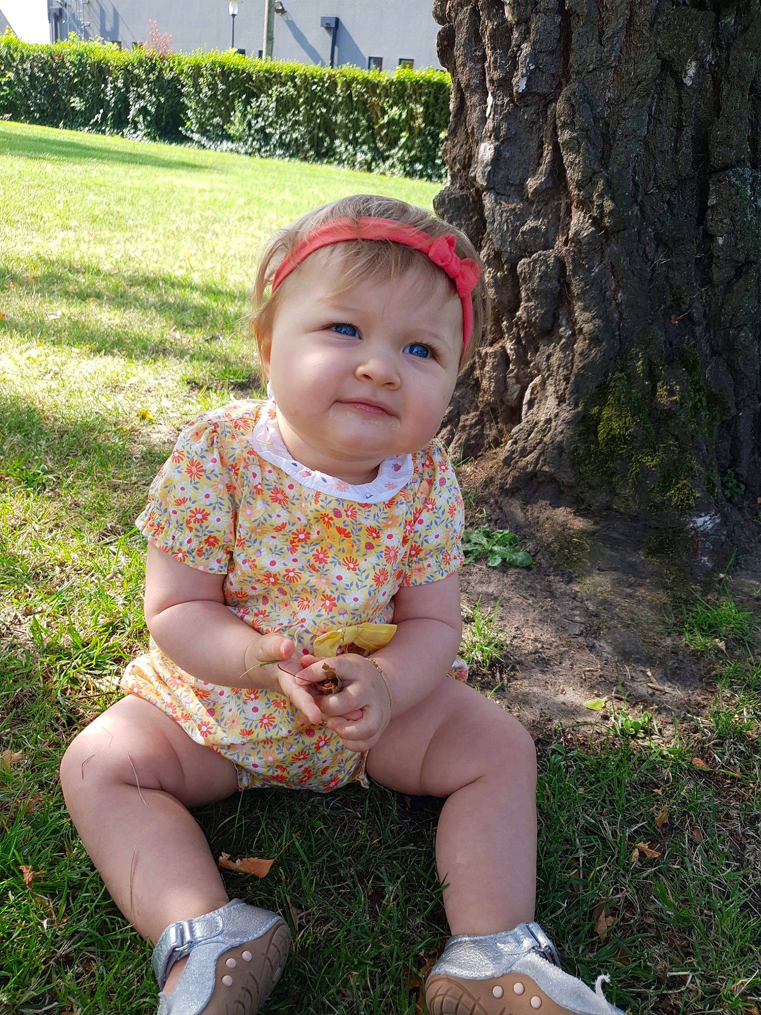 Julya participe au concours pour gagner de l'argent avec cette photo : baby, baby_toddler_clothing, child, dress, fawn, grass, green, leaf, person, plant, sitting, skin, smile, summer, toddler, tree