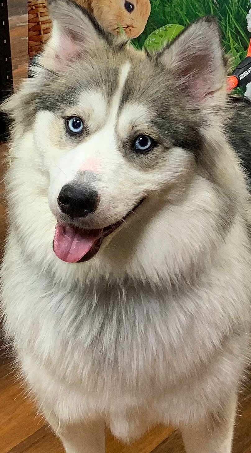 Gabby
