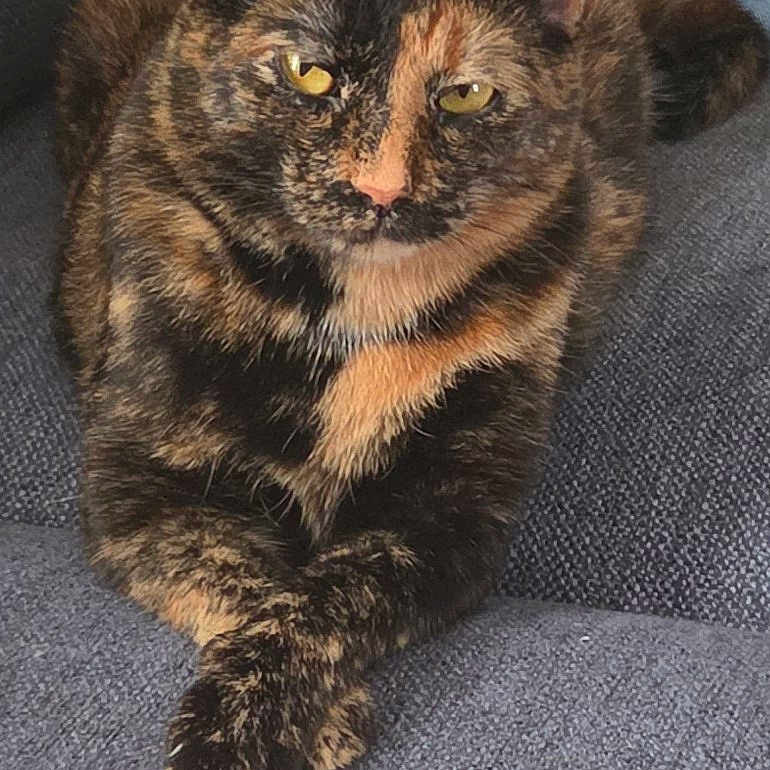 Ruby