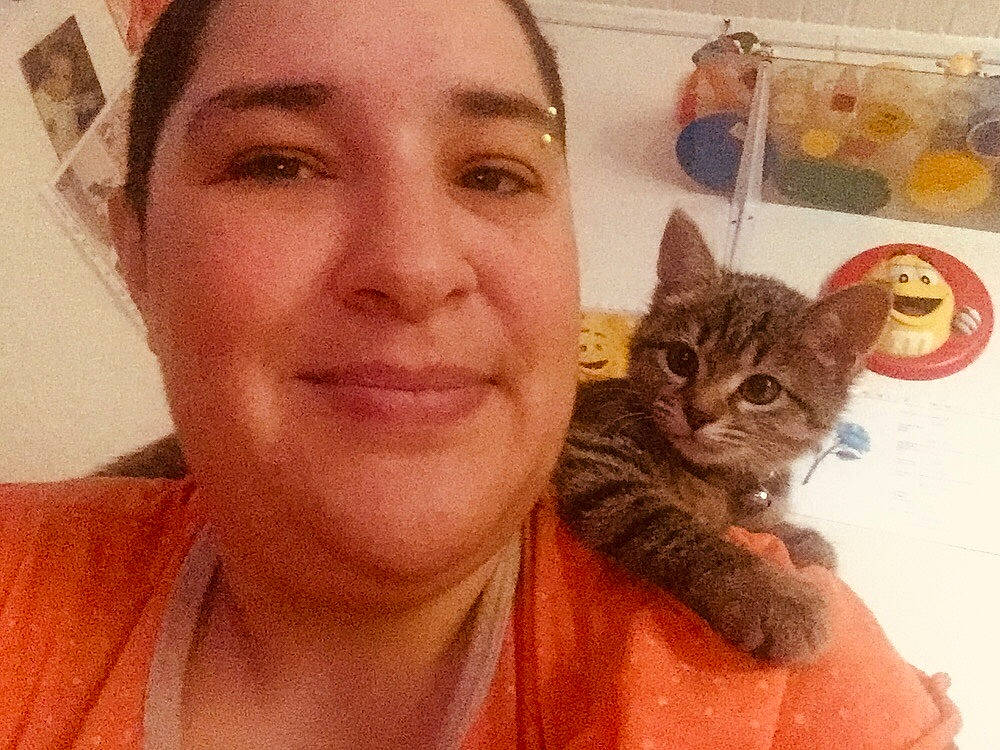 Lucky participe au concours pour gagner de l'argent avec cette photo : asian, carnivore, cat, domestic_short_haired_cat, ear, european_shorthair, eye, face, felidae, hair, head, iris, kitten, nose, photography, selfie, skin, small_to_medium_sized_cats, tabby_cat, whiskers