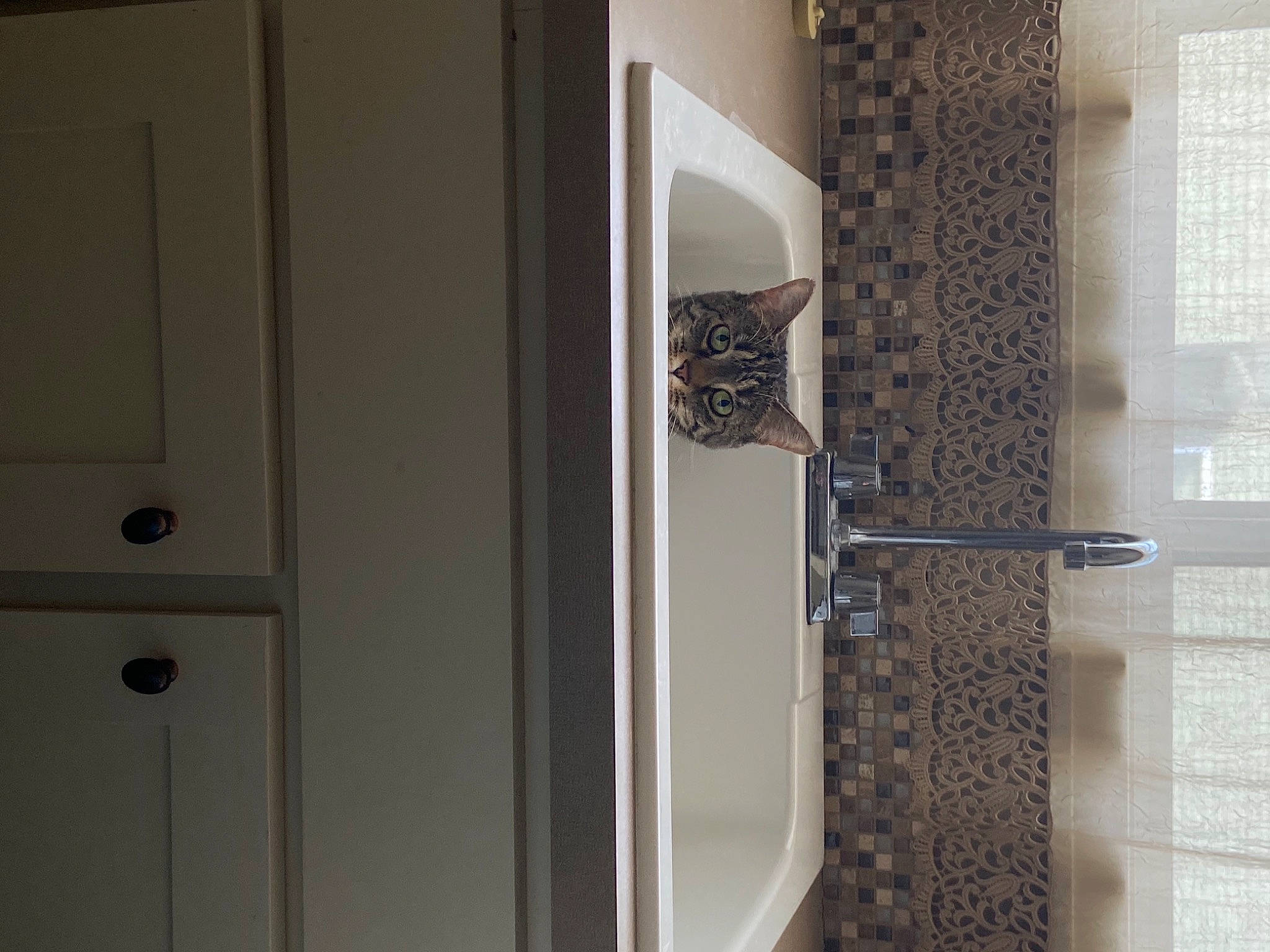 Ia is registered to the contest to win money with this photo: bathroom, bathroom_accessory, building, ceiling, composite_material, door, fixture, floor, flooring, glass, hardwood, home_door, material_property, metal, mirror, pattern, plaster, plumbing_fixture, rectangle, wood