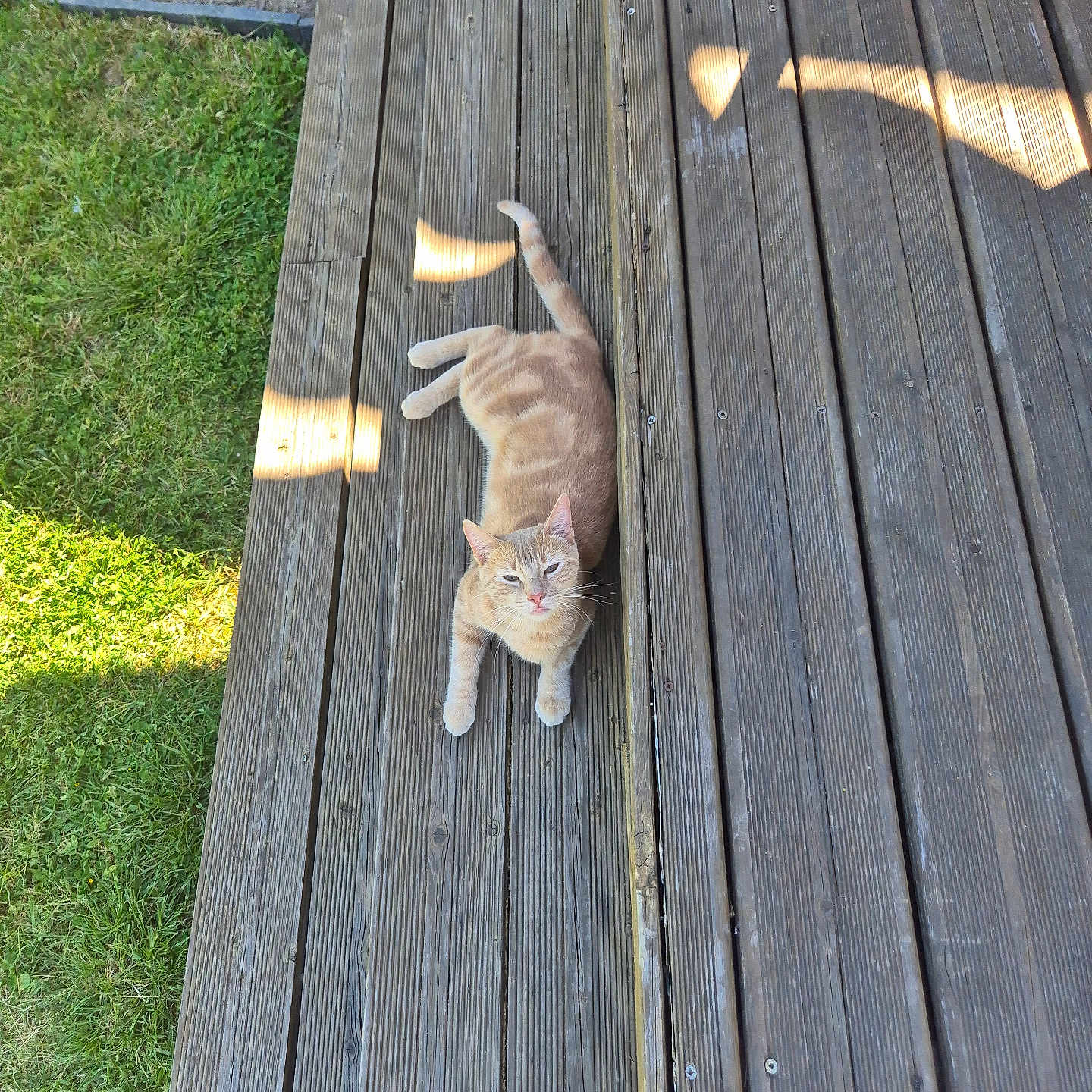 Caramel
