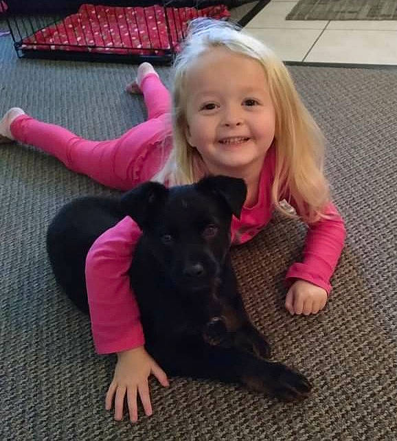 Maddie is registered to the contest to win money with this photo: carnivore, companion_dog, dog, dog_breed, eye, fawn, floor, flooring, gesture, hair, happy, head, joy, mammal, person, pink, skin, sleeve, smile, snout