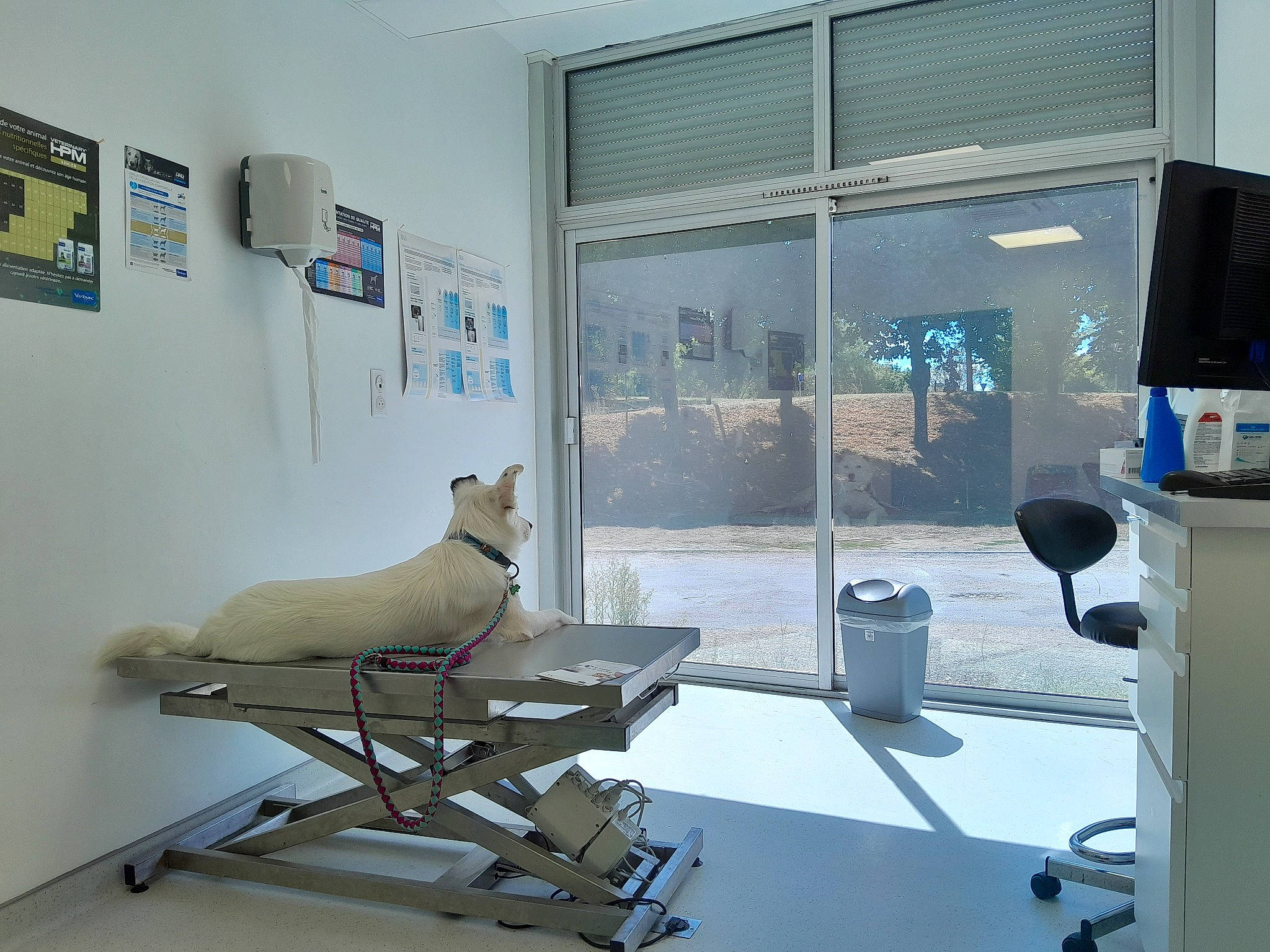 Oslaw participe au concours pour gagner de l'argent avec cette photo : art, automotive_design, building, chair, clinic, computer_keyboard, desk, desktop_computer, flooring, flowerpot, glass, hospital, interior_design, machine, room, shade, space, table, window, window_blind