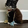 Bootsy