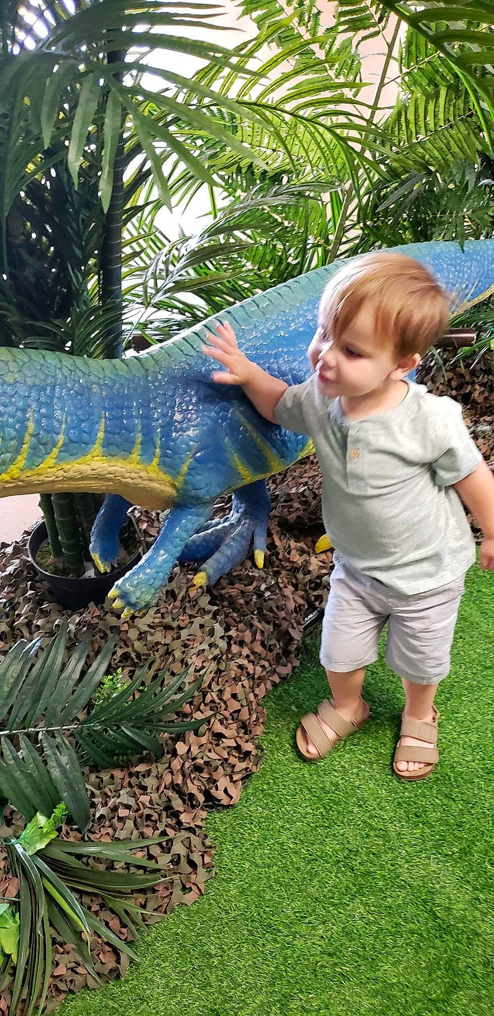 Nathaniel is registered to the contest to win money with this photo: arecales, baby_toddler_clothing, botany, electric_blue, fun, garden, gardening, grass, green, groundcover, leisure, palm_tree, people_in_nature, person, plant, reptile, sandal, shoe, t_shirt, terrestrial_plant