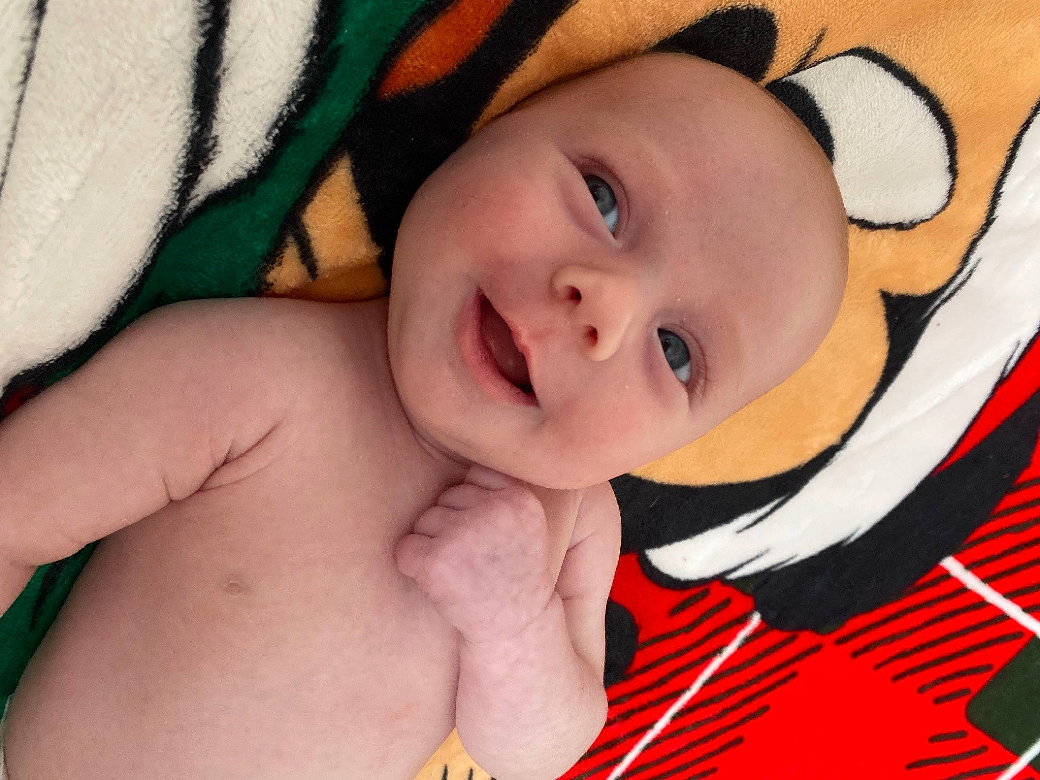 Dorothy is registered to the contest to win money with this photo: baby, cheek, child, ear, eye, face, finger, head, lip, mouth, nose, person, skin, smile, toddler