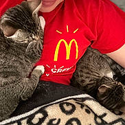 Mittens And Astro joined the competition — help win amazing prizes! cat, tabby_cat, animal, pet, person, red_shirt, logo, smile, blanket, snuggling, indoor, resting, sleeping_cat, fur, whiskers, arm, comfort, cozy, domestic, close_up