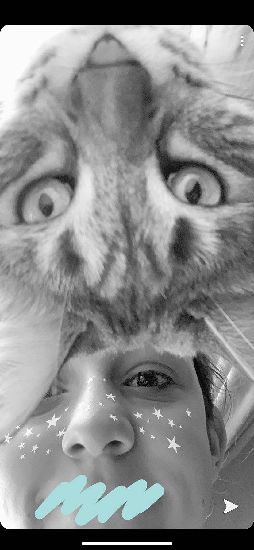 Mimoune participe au concours pour gagner de l'argent avec cette photo : black_and_white, cat, close_up, drawing, eye, face, forehead, head, iris, nose, owl, photography, portrait, selfie, sketch, snout, whiskers
