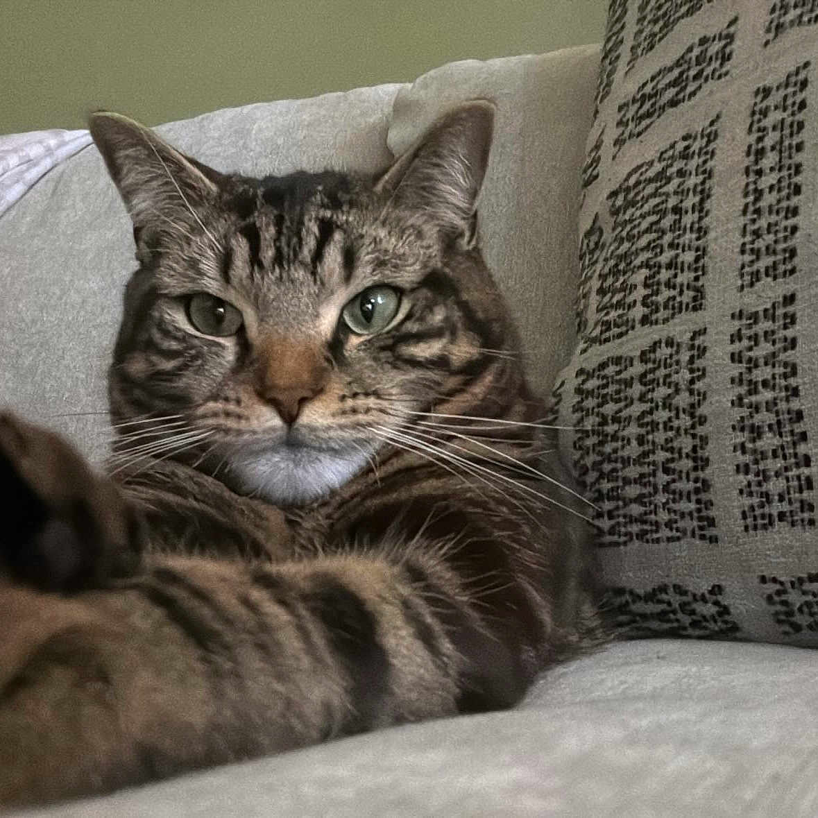 Seamus