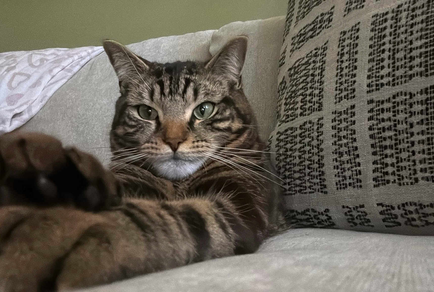 Seamus