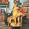 dog, german_shepherd, canine, pet, animal, sitting, chair, portrait, open_mouth, tongue, pointed_ears, long_fur, brown_fur, black_mask, rustic, vintage, indoor, flowers, wooden_crates, decor