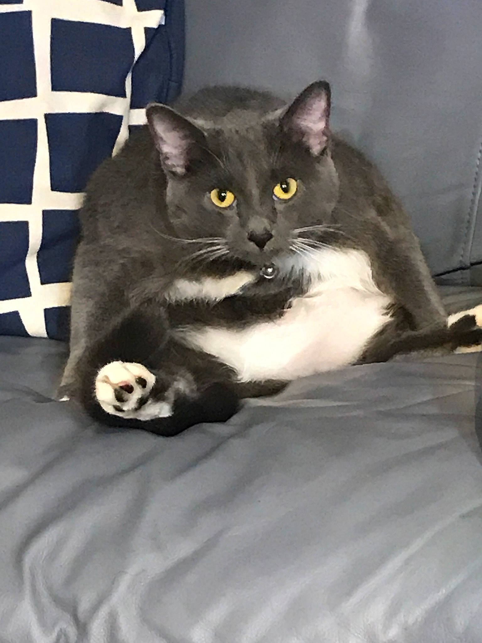 Clyde