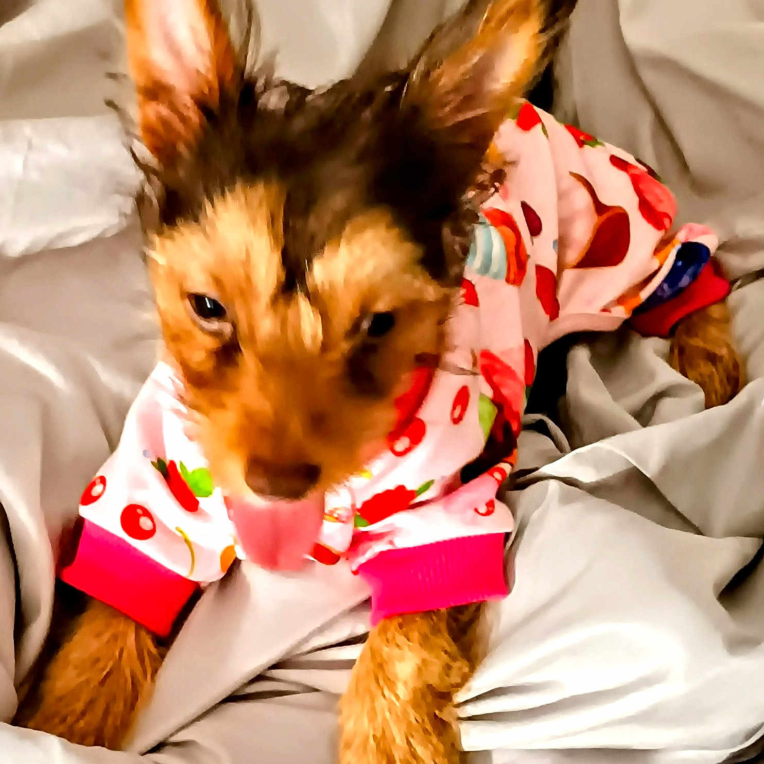 Princess Mila