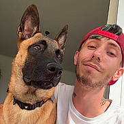 Vox a rejoint le concours — aidez-le/la à gagner de superbes lots ! dog, german_shepherd, man, selfie, cap, indoor, portrait, pet, animal, casual, young_adult, beard, tattoo, collar, face, head, expression, looking_away, closeup, friendship