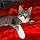 Kitt