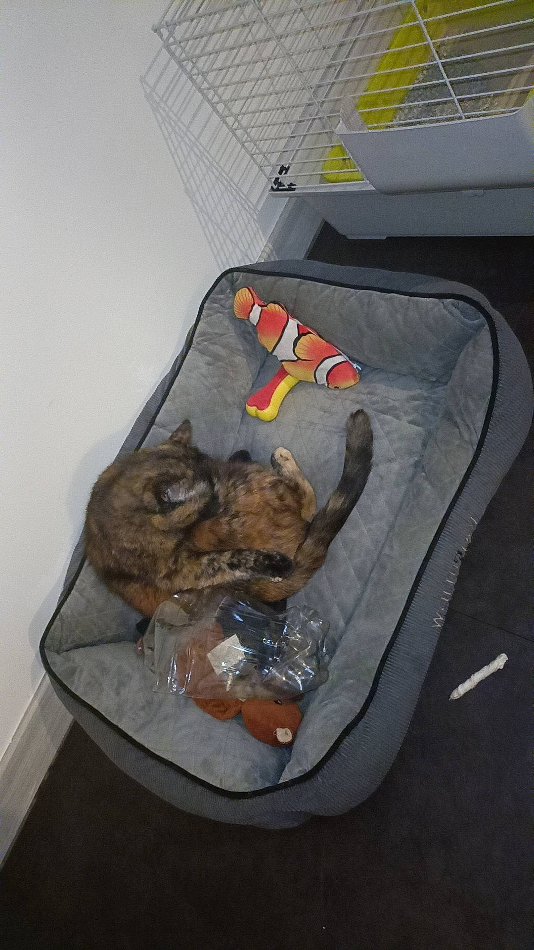 Taz participe au concours pour gagner de l'argent avec cette photo : asphalt, automotive_design, automotive_exterior, automotive_tire, bumper, fashion_accessory, gas, motor_vehicle, personal_protective_equipment, plastic, plastic_bag, road_surface, rock, vehicle_door, wing