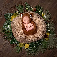 Quinn is registered to the contest to win money with this photo: newborn, baby, sleeping, knit_hat, brown_clothing, fluffy_cushion, green_leaves, pinecones, wooden_floor, nature_theme, portrait, cute, infant, cozy, soft_texture, decorative, peaceful, resting, wrapped, indoors