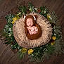 newborn, baby, sleeping, knit_hat, brown_clothing, fluffy_cushion, green_leaves, pinecones, wooden_floor, nature_theme, portrait, cute, infant, cozy, soft_texture, decorative, peaceful, resting, wrapped, indoors