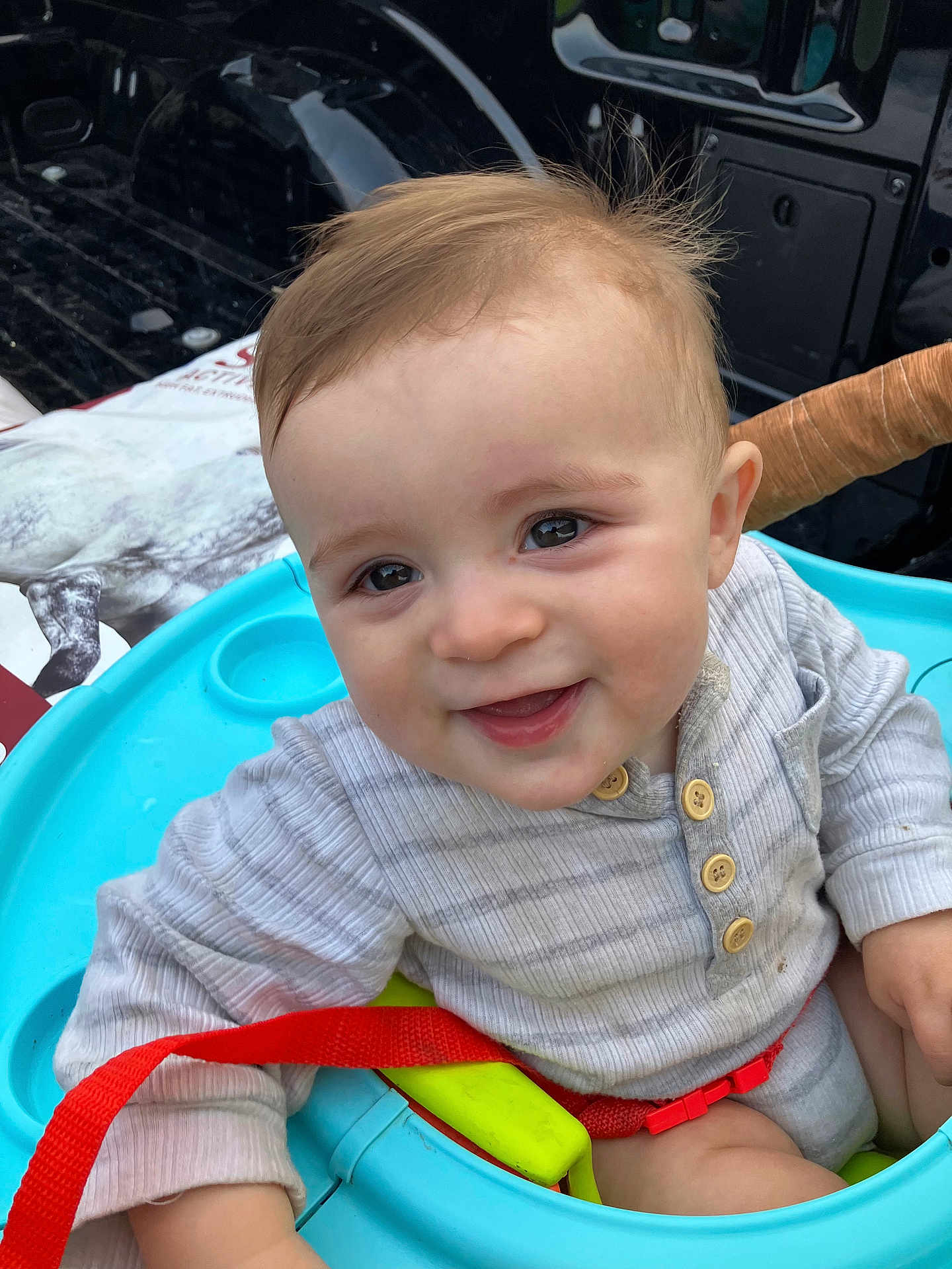 Judd joined the competition — help win amazing prizes! baby, child, smiling, face, blue_baby_seat, red_strap, striped_shirt, buttoned_shirt, outdoor, happy, toddler, infant, cute, portrait, head, skin, eyes, hand, clothing, seat