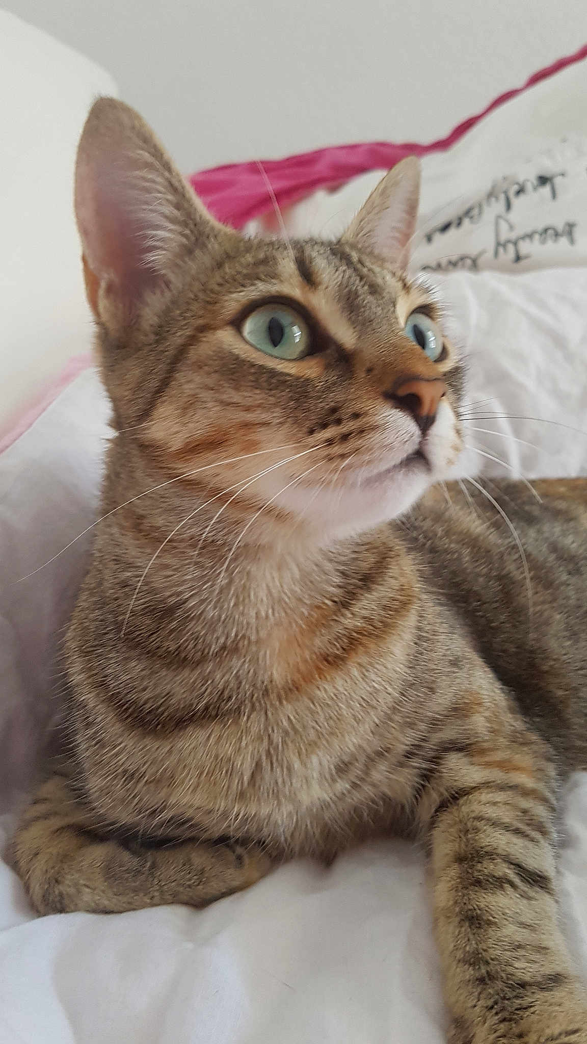 Naya