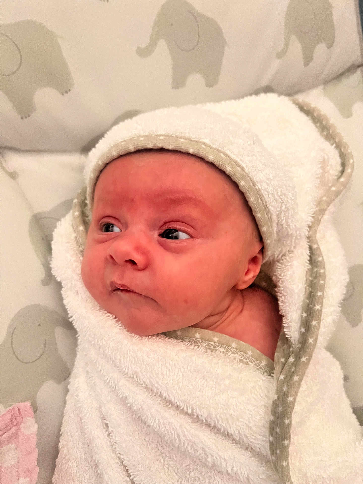 Riley is registered to the contest to win money with this photo: baby, infant, towel, hooded_towel, wrapped, face, skin, eyes, expression, elephant_pattern, background, soft_texture, newborn, cute, child, indoors, portrait, cozy, blanket, resting