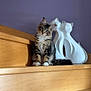 Arty a rejoint le concours — aidez-le/la à gagner de superbes lots ! kitten, cat, wooden_stairs, sculpture, decor, indoor, purple_wall, curious, pet, feline, animal, domestic_cat, tabby, white_paws, sitting, head_tilt, cute, young_cat, artistic, cozy