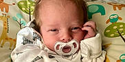 Shawn is registered to the contest to win money with this photo: animal, baby, bed, bird, blanket, blonde, cushion, face, furniture, hair, happy, head, homedecor, newborn, person, photography, portrait, quilt, sleeping, yawning