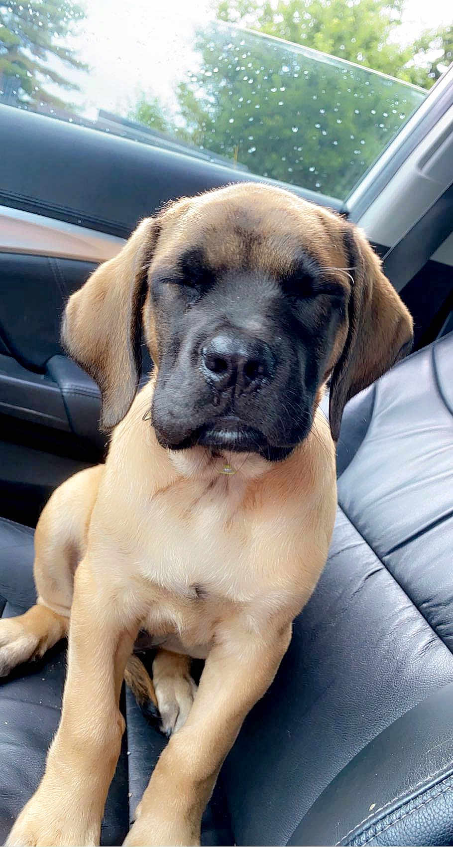 Remi