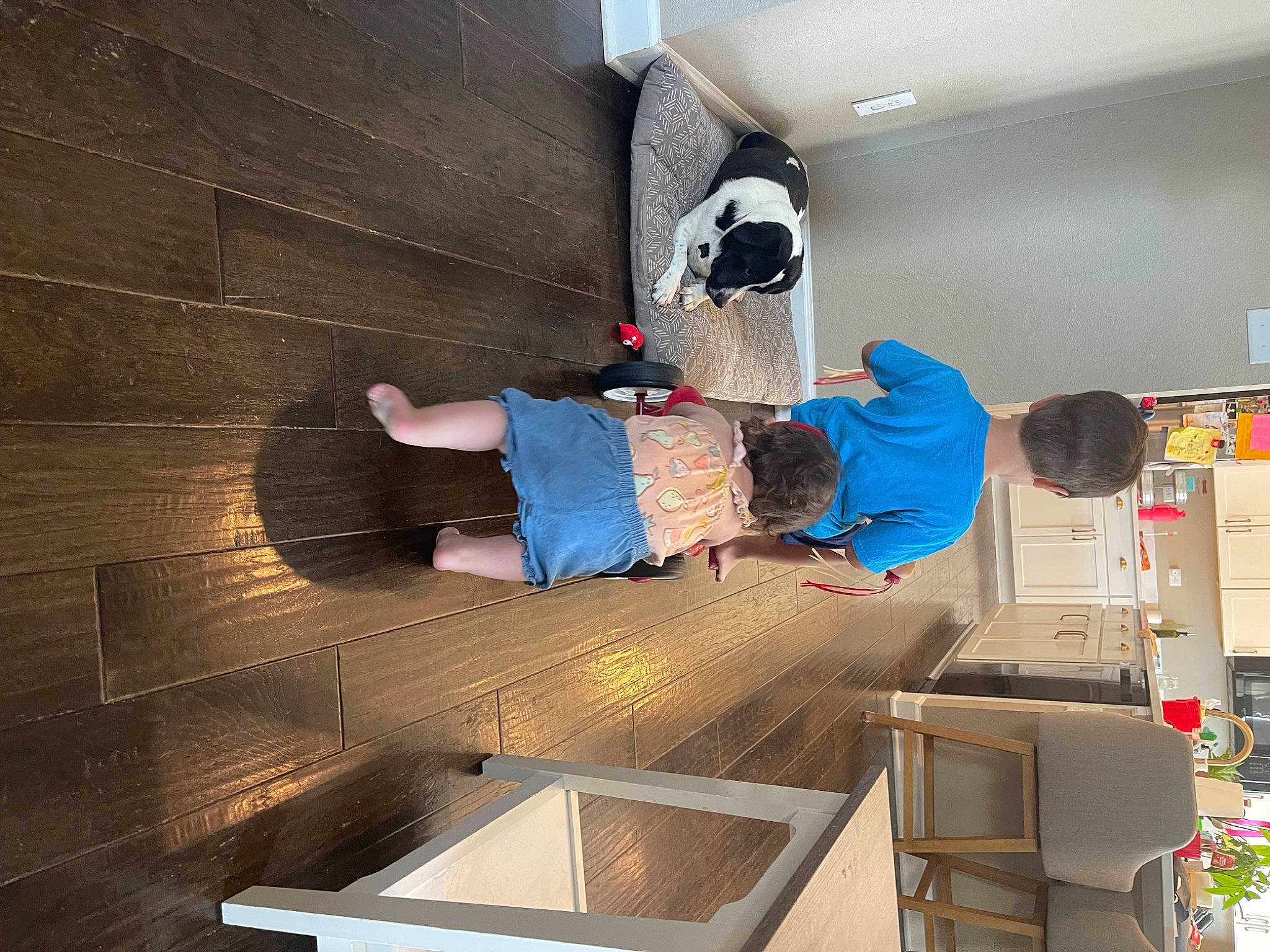 Daisy is registered to the contest to win money with this photo: balance, ceiling, comfort, design, elbow, floor, flooring, fun, hardwood, house, knee, leg, leisure, person, recreation, room, shorts, space, t_shirt, walking_shoe