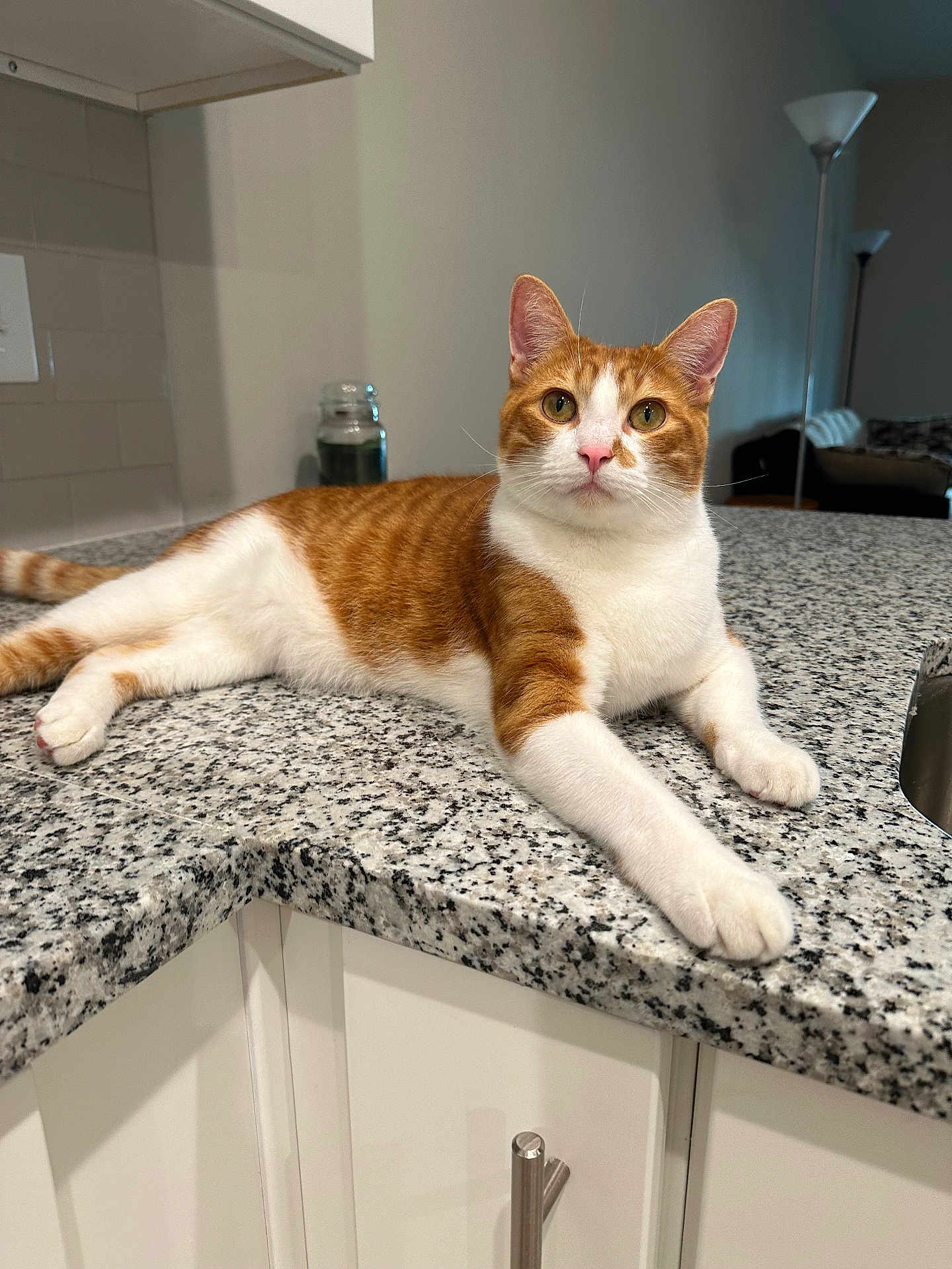 Leo