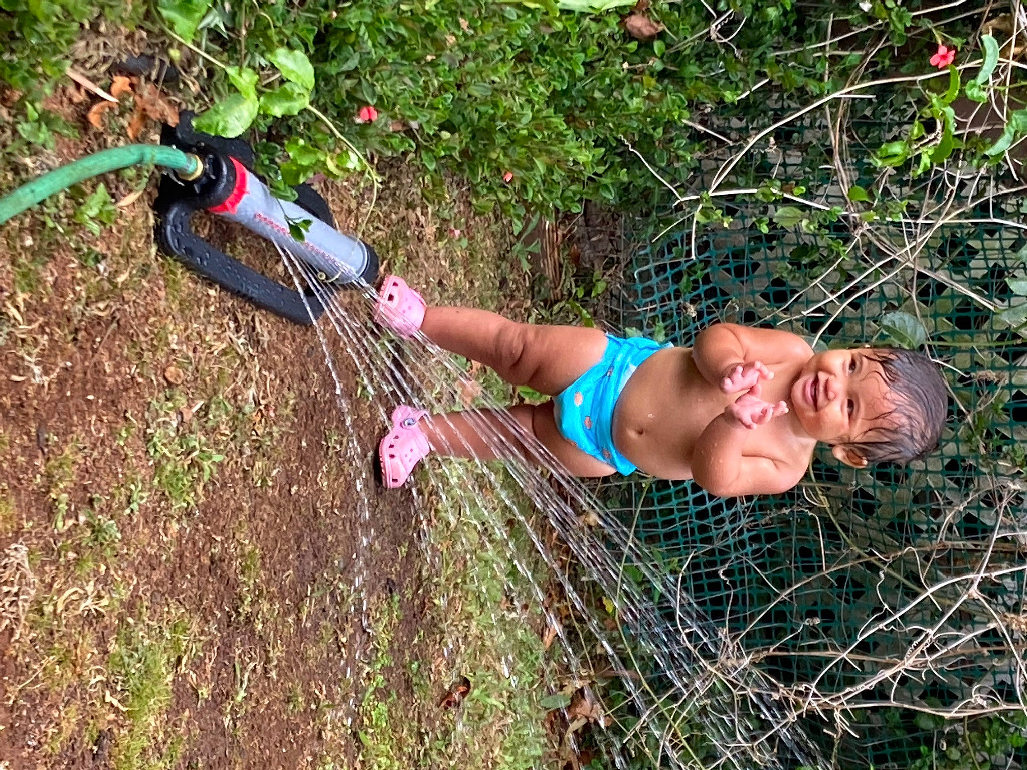 Blake joined the competition — help win amazing prizes! child, fawn, fun, grass, grass_family, grassland, happy, human_leg, leisure, people_in_nature, person, plant, recreation, shorts, smile, soil, summer, swimwear, thigh, toddler