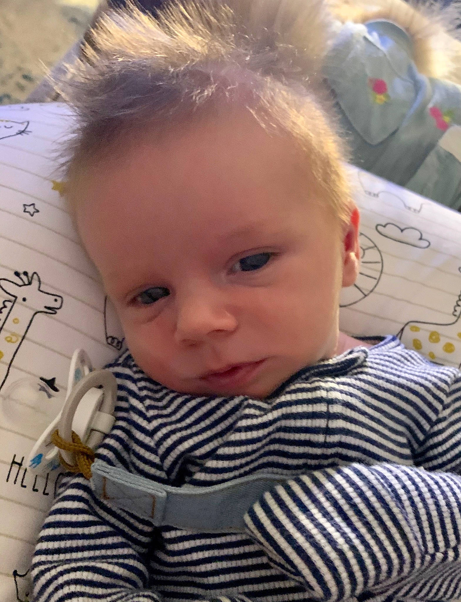 Briggs joined the competition — help win amazing prizes! baby, blond, cheek, child, chin, ear, eye, eyebrow, face, forehead, hair, head, iris, lip, nose, person, skin, toddler