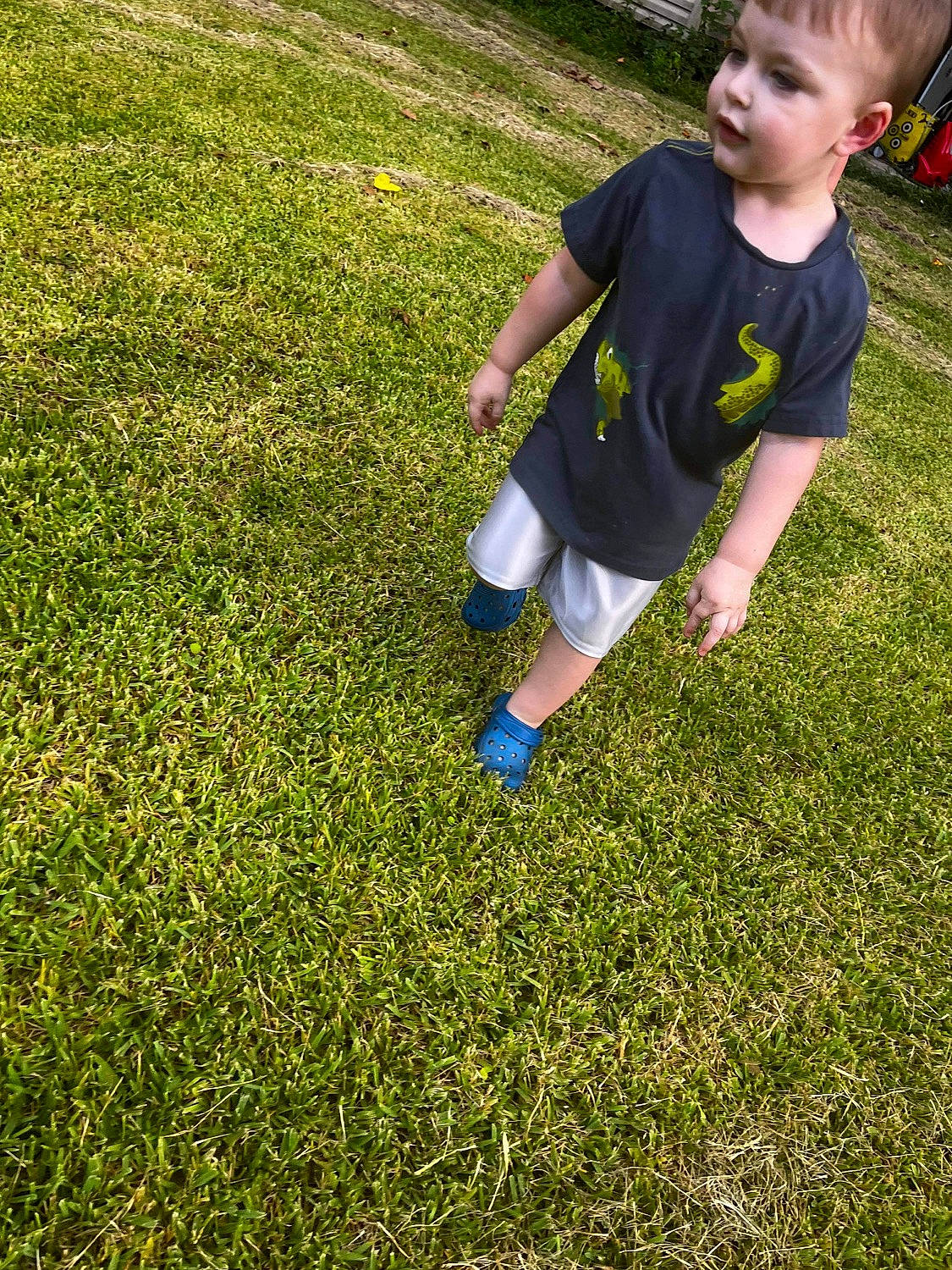 Benton is registered to the contest to win money with this photo: baby_toddler_clothing, flooring, fun, garden, grass, grass_family, grassland, groundcover, happy, lawn, leisure, meadow, pasture, people_in_nature, person, plant, recreation, shadow, shrub, t_shirt