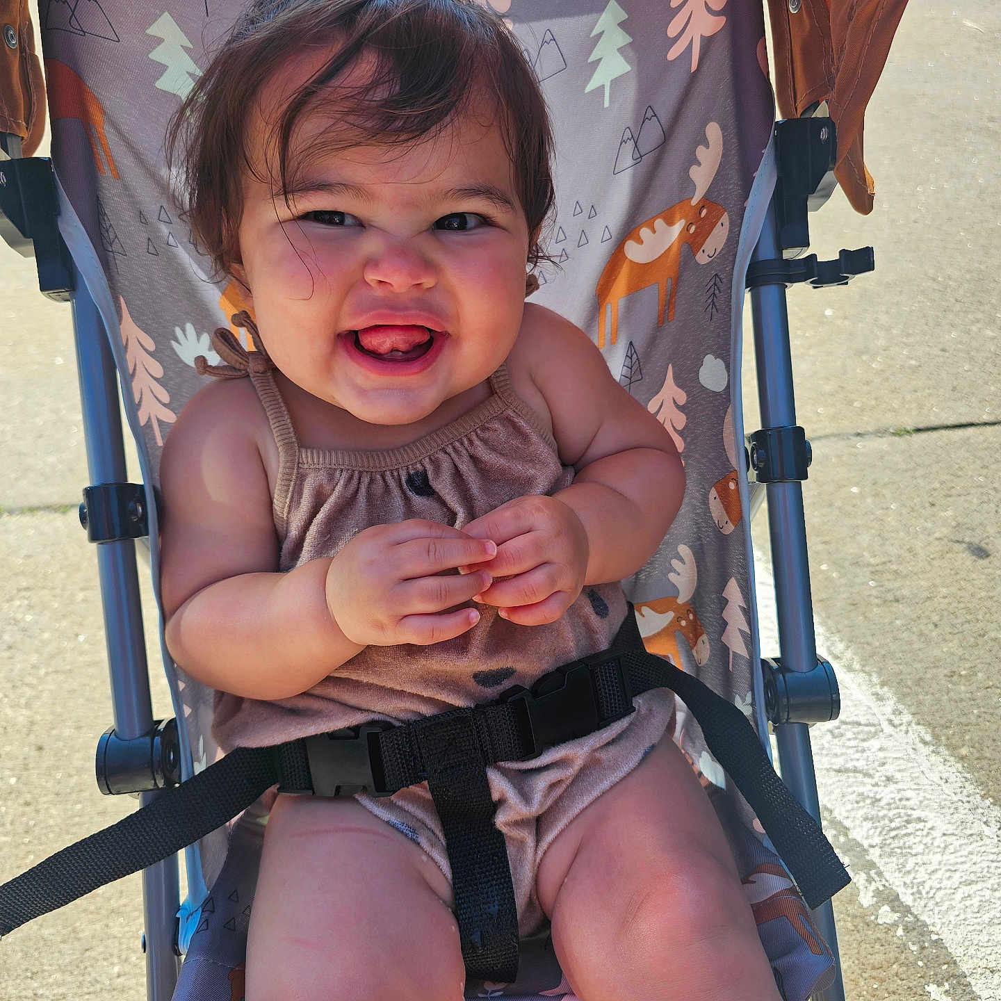 Emery joined the competition — help win amazing prizes! animal_print, baby, child, clothing, cute, fabric, face, hands, happy, infant, legs, outdoor, person, playful, seat, seatbelt, smiling, stroller, sunlight, toddler