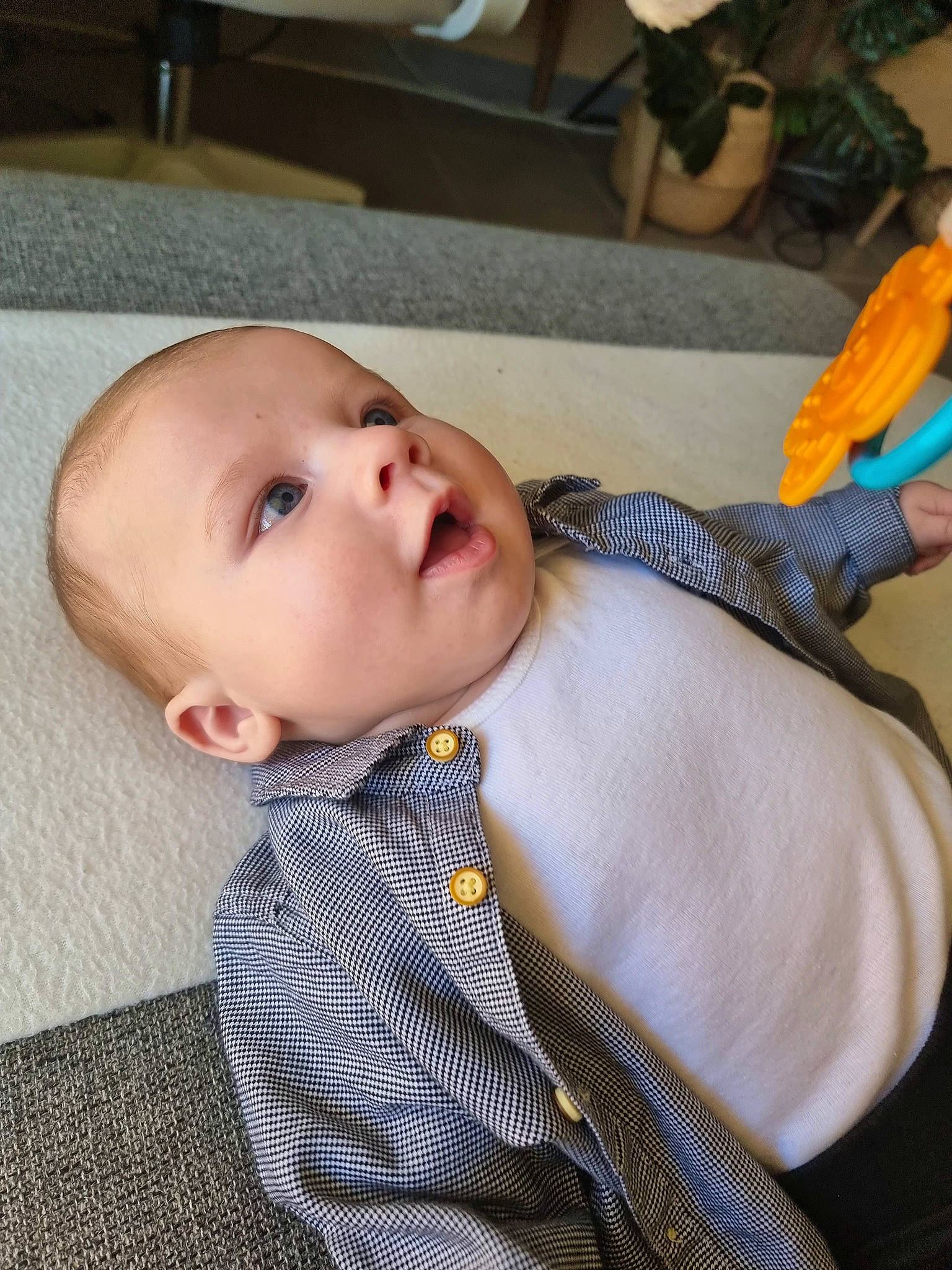 Thiago participe au concours pour gagner de l'argent avec cette photo : baby, baby_toddler_clothing, button, cheek, child, collar, comfort, dress_shirt, eyelash, fur, linens, lip, nose, pattern, person, plaid, sitting, skin, sleeve, toddler