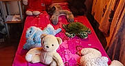 Julko participe au concours pour gagner de l'argent avec cette photo : bedroom, bed, pink_bedspread, stuffed_animals, toys, cat, plush_toys, teddy_bear, child_room, nightstand, toy_car, wall_decoration, blanket, animal_plush, cozy, indoor, soft_toys, colorful, child_furniture, warm_lighting