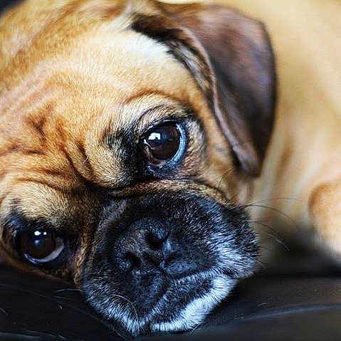 Emma
