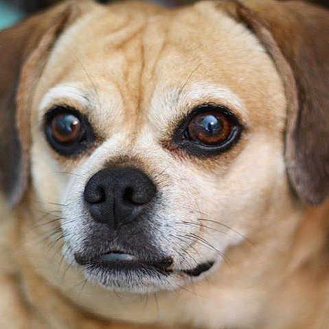 Zoe