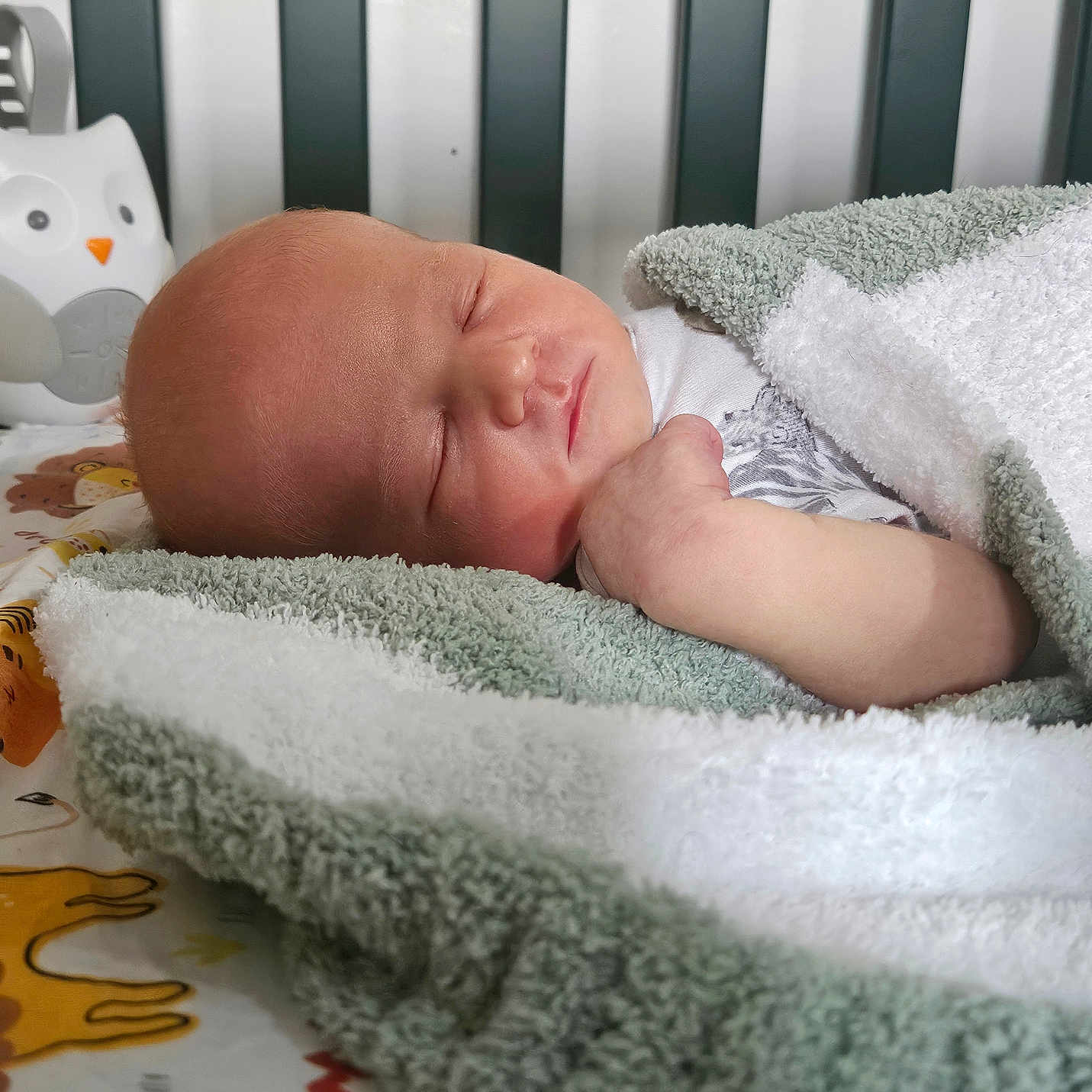 Hunter joined the competition — help win amazing prizes! baby, bed, blanket, crib, cushion, face, furniture, head, homedecor, infantbed, newborn, person, photography, portrait, quilt, sleeping, towel