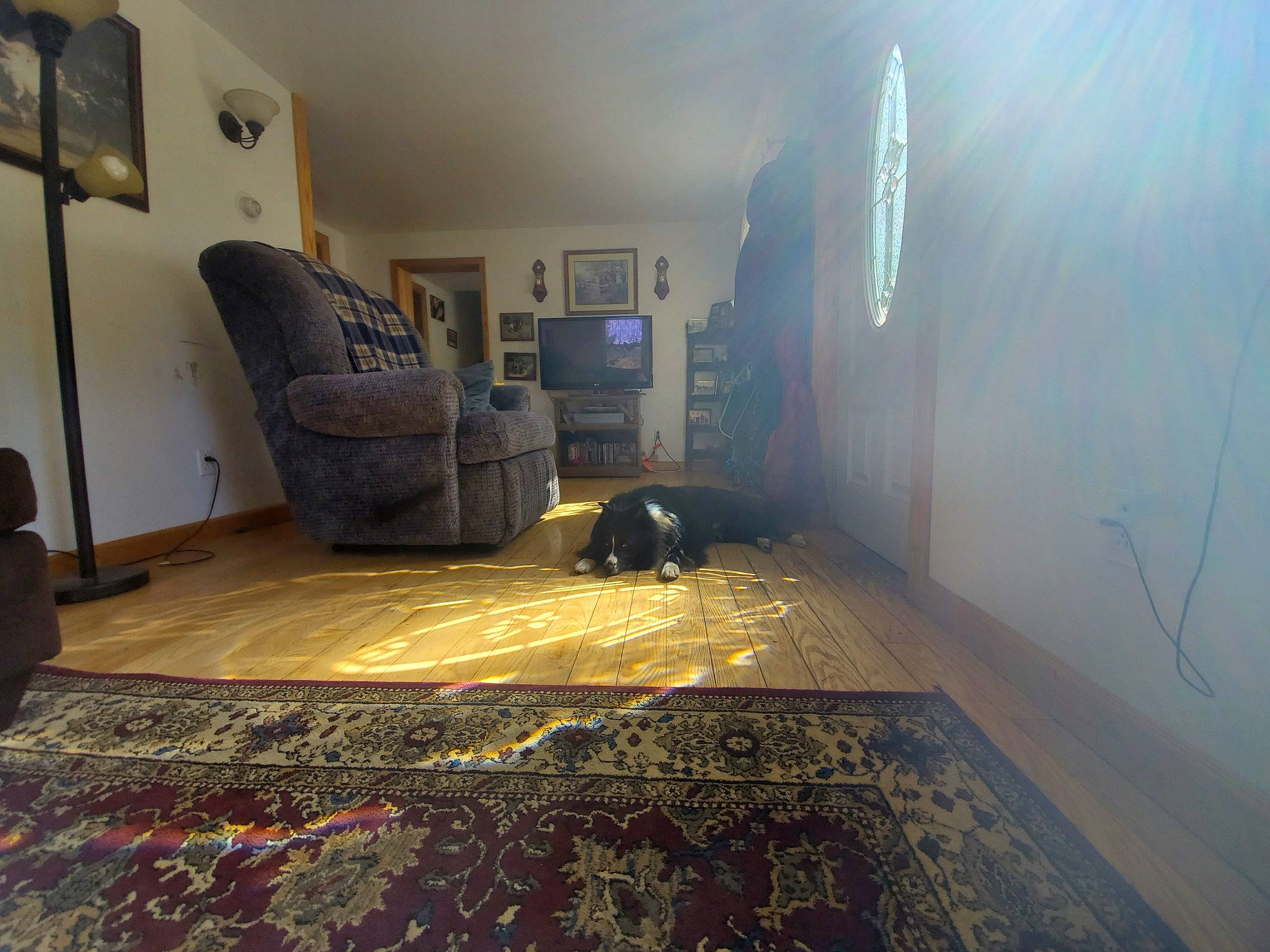 Mojo joined the competition — help win amazing prizes! architecture, bed, building, chair, floor, flooring, furniture, hardwood, home, house, interior_design, property, room, tile, wood