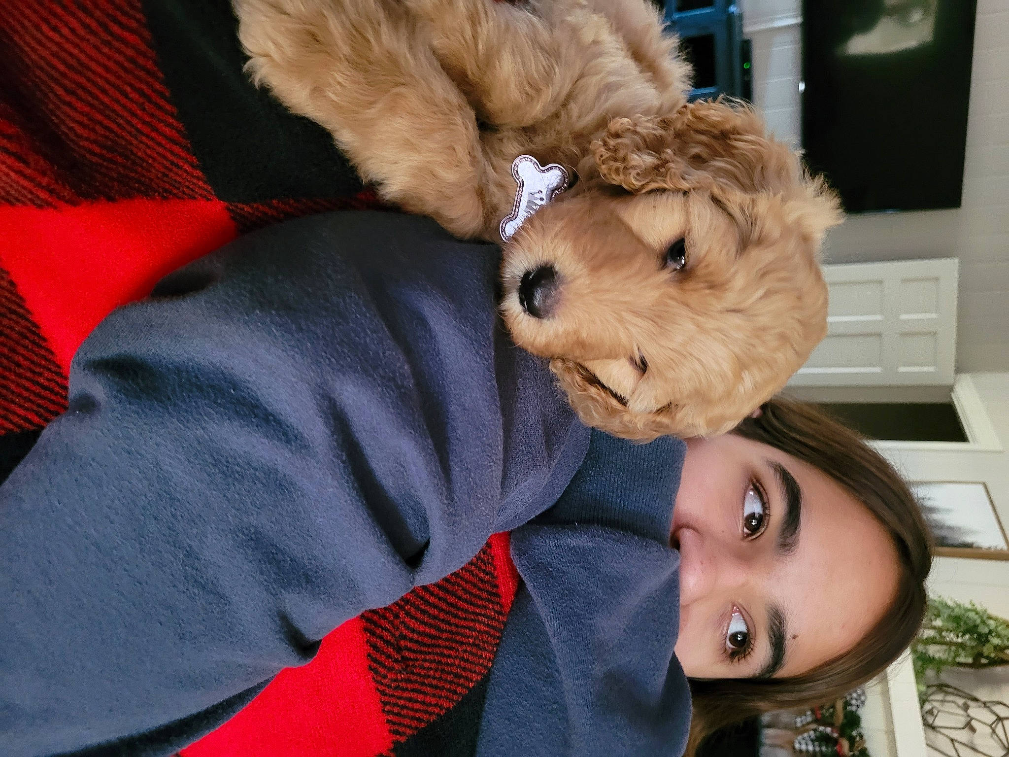 Nallu is registered to the contest to win money with this photo: baby_toys, bear, canidae, child, comfort, companion_dog, dog_breed, fun, fur, home_appliance, kitchen_appliance, plush, room, stuffed_toy, teddy_bear, toy