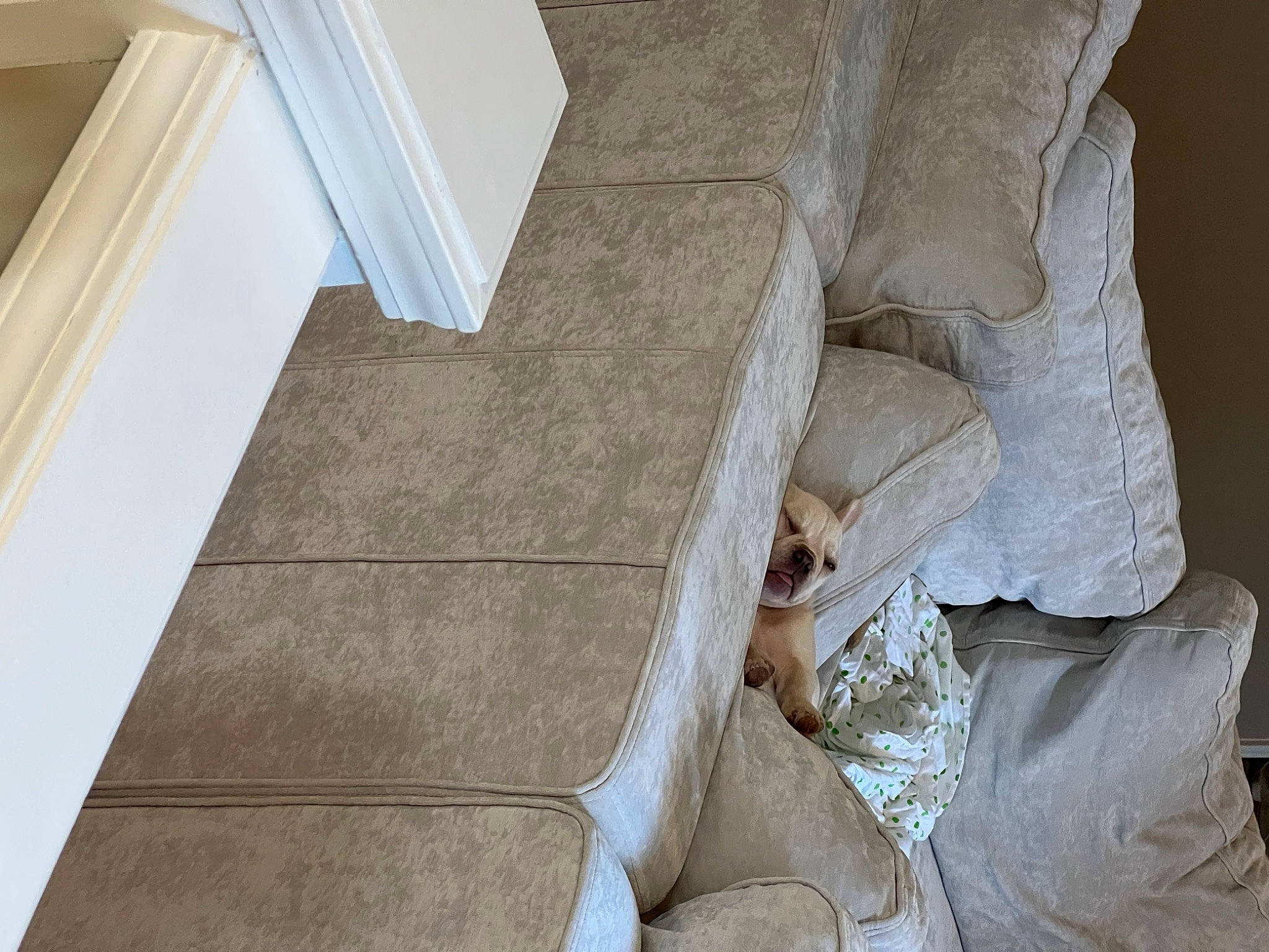 Lilo joined the competition — help win amazing prizes! building, ceiling, column, comfort, concrete, couch, floor, flooring, hardwood, house, human_leg, linens, pattern, plaster, rock, room, stairs, thigh, tints_and_shades, wood