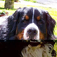 Garys participe au concours pour gagner de l'argent avec cette photo :
