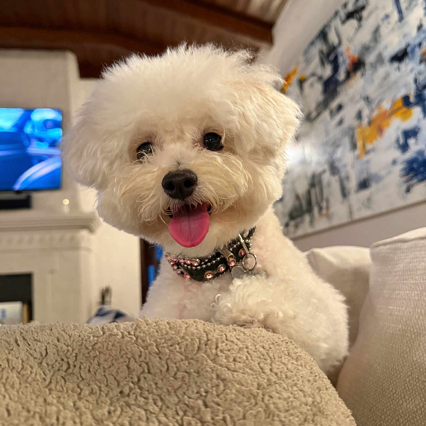 Sadie