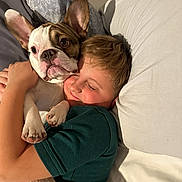 Odin is registered to the contest to win money with this photo: animal_face, bed, bedding, bedroom, blanket, child, close_up, cozy, cuddle, dog, ear, french_bulldog, hug, human_face, indoor, paw, pillow, portrait, sleepy, smile