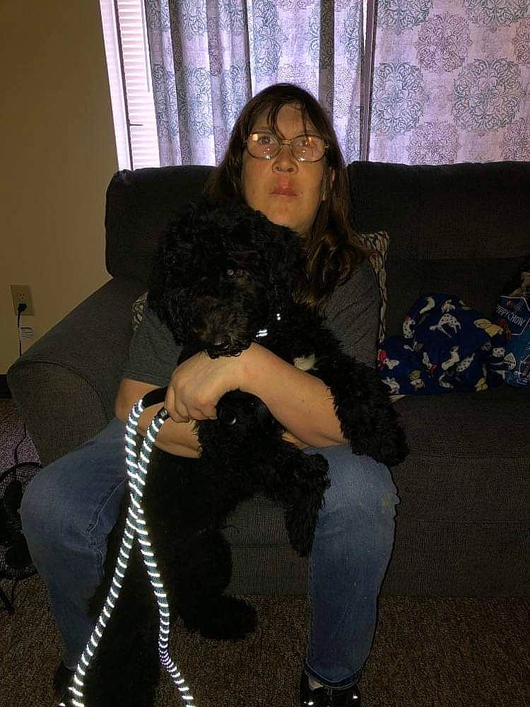 Pepper is registered to the contest to win money with this photo: carnivore, comfort, companion_dog, couch, curtain, dog, dog_breed, eyewear, fawn, flooring, foot, human_leg, knee, lap, leg, living_room, sitting, studio_couch, thigh, trunk