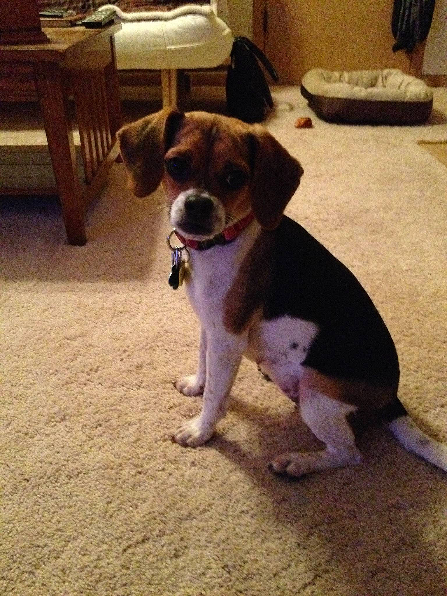 Gabby