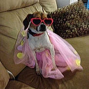Gabby is registered to the contest to win money with this photo: